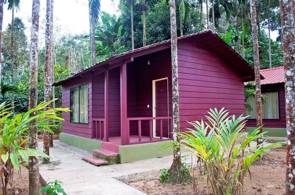 La Flora Prakruth Resort Coorg Madikeri Zewnętrze zdjęcie