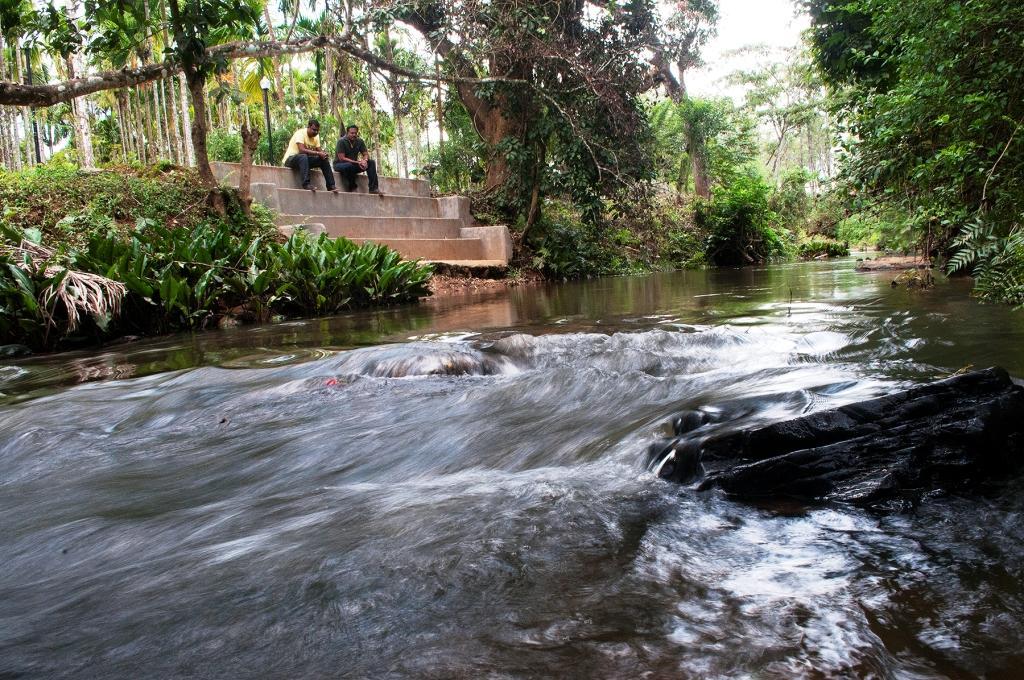 La Flora Prakruth Resort Coorg Madikeri Zewnętrze zdjęcie