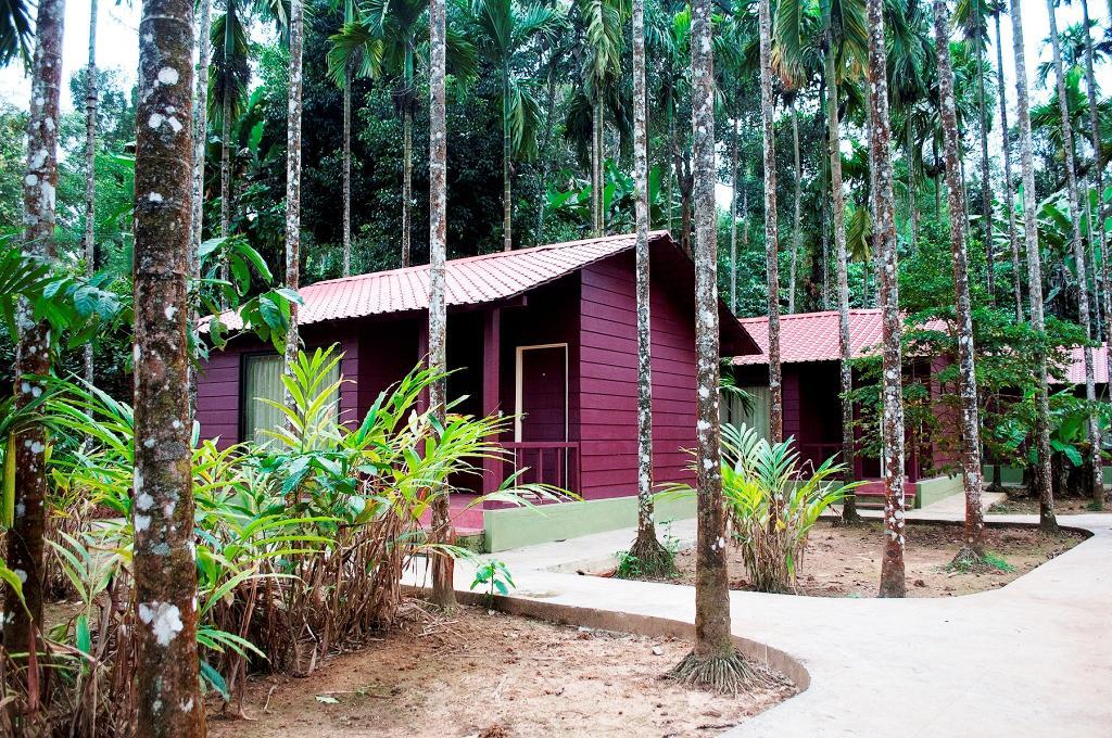 La Flora Prakruth Resort Coorg Madikeri Zewnętrze zdjęcie